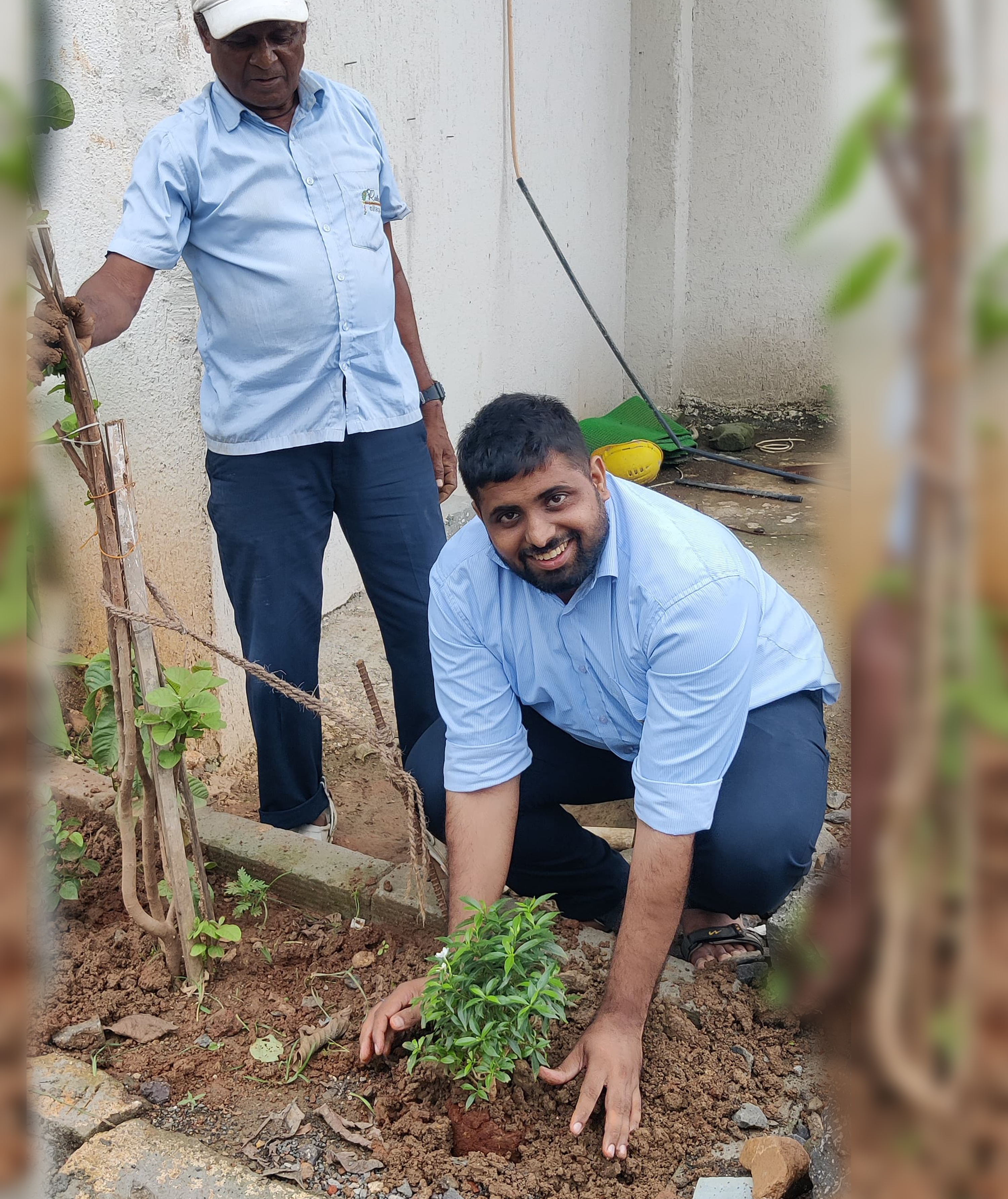 treeplantation
