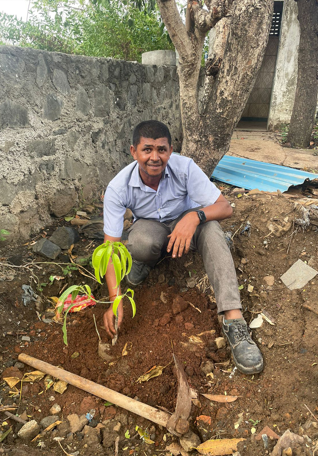 treeplantation