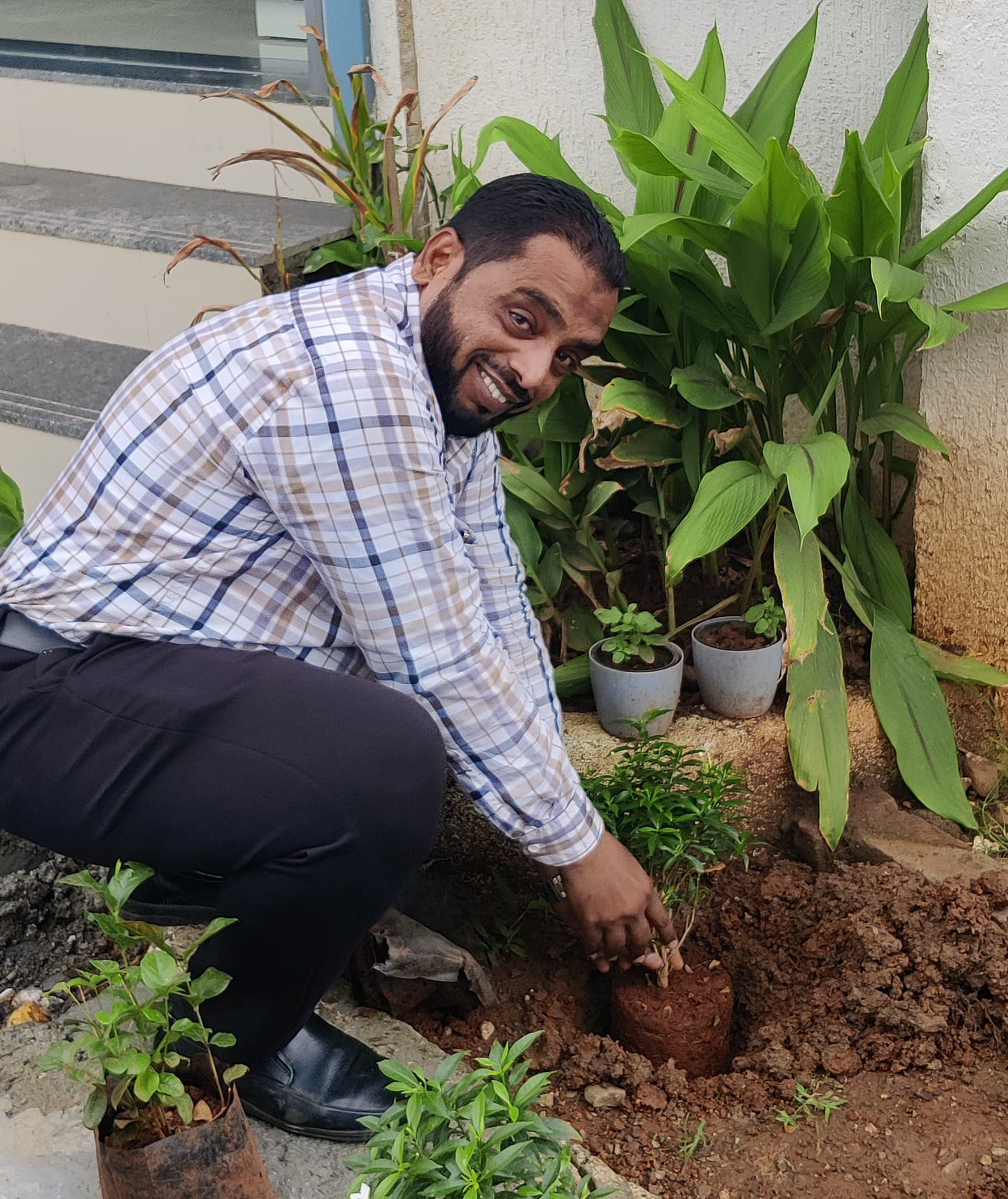 treeplantation